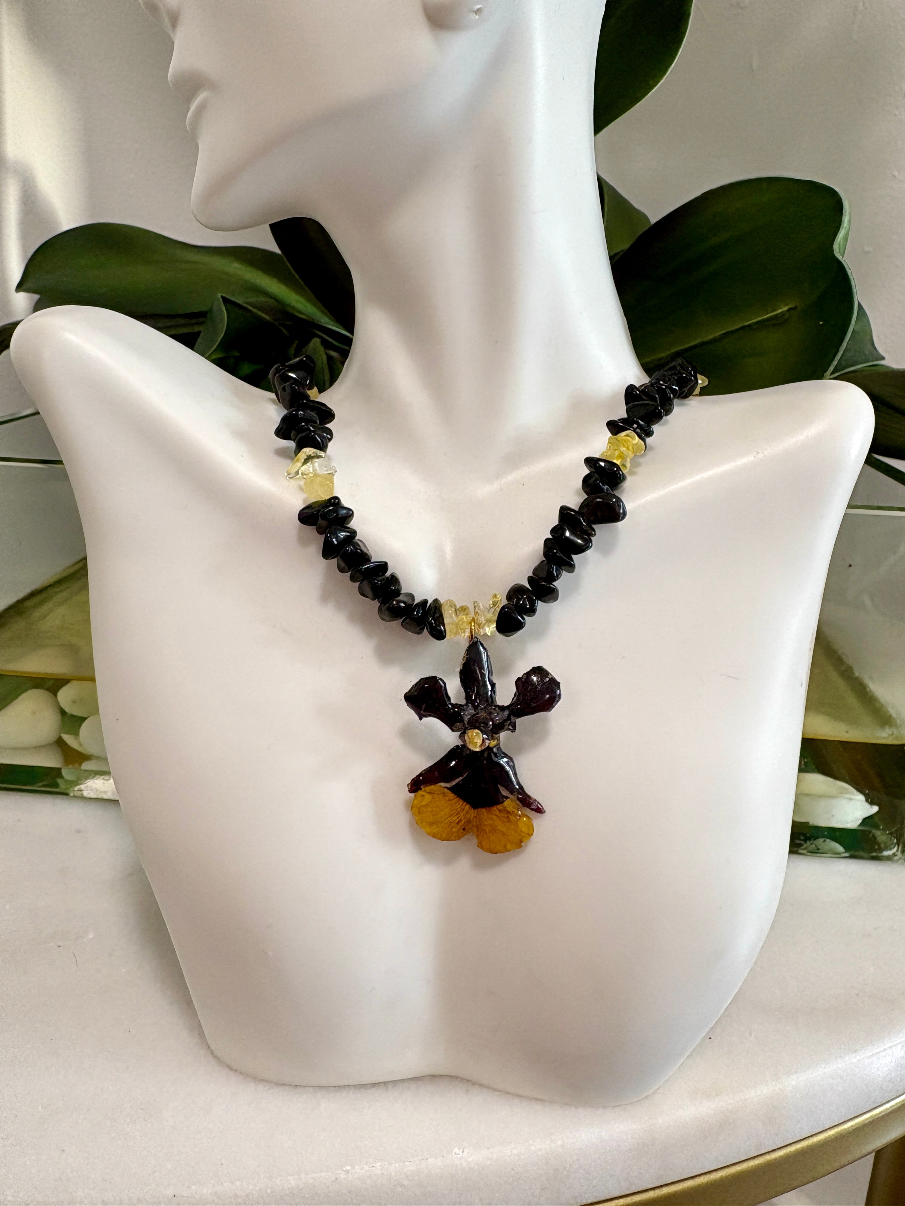 Exotic Black/yellow Orchid