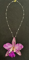 Cattleya Pink Leopard