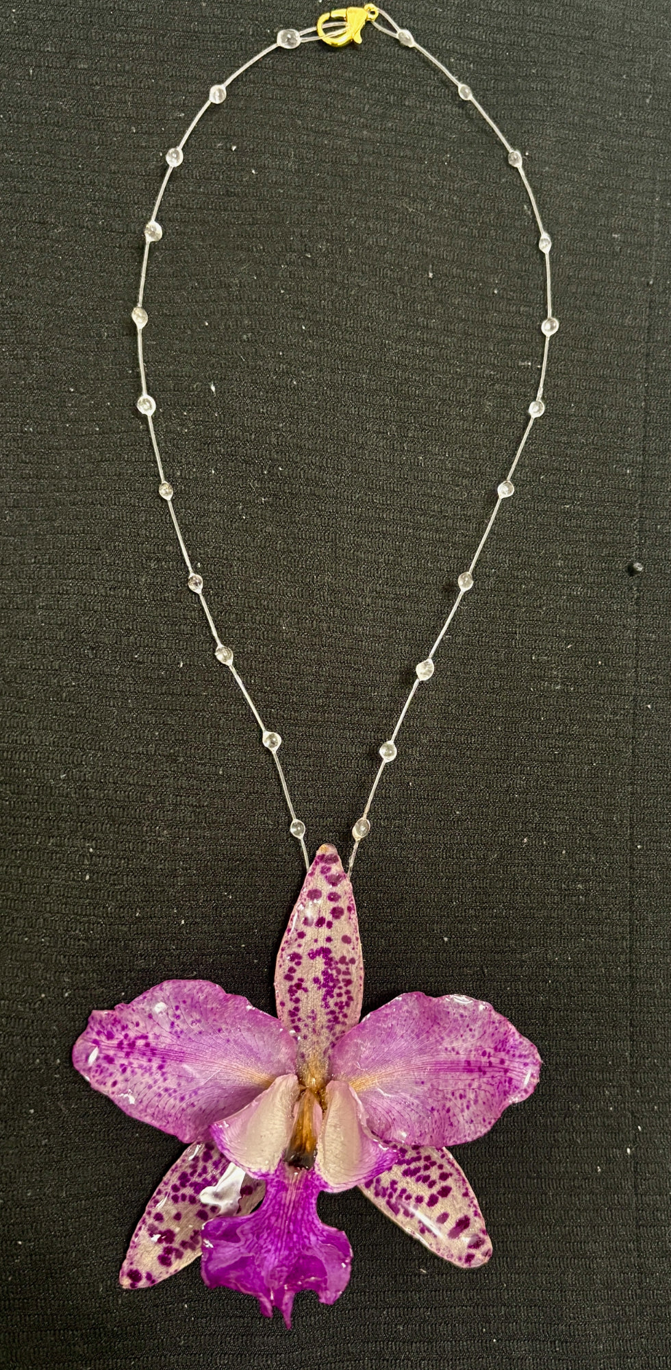 Cattleya Pink Leopard